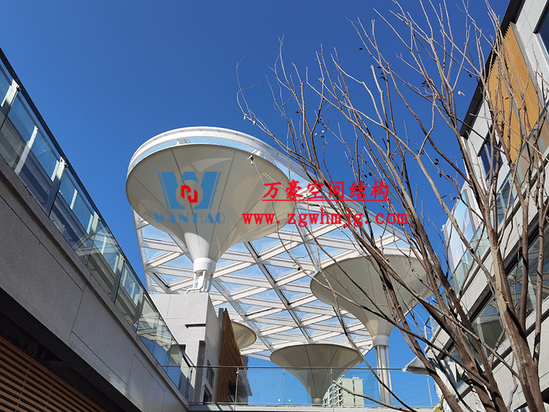 臺州大板橋ETFE氣枕天幕項目完工 臺州大板橋ETFE氣枕天幕項目完工