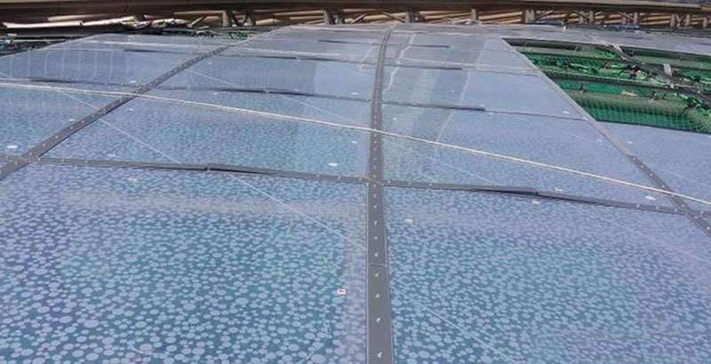 ETFE膜結(jié)構(gòu)有哪些種類？ETFE膜結(jié)構(gòu)是如何分類的？