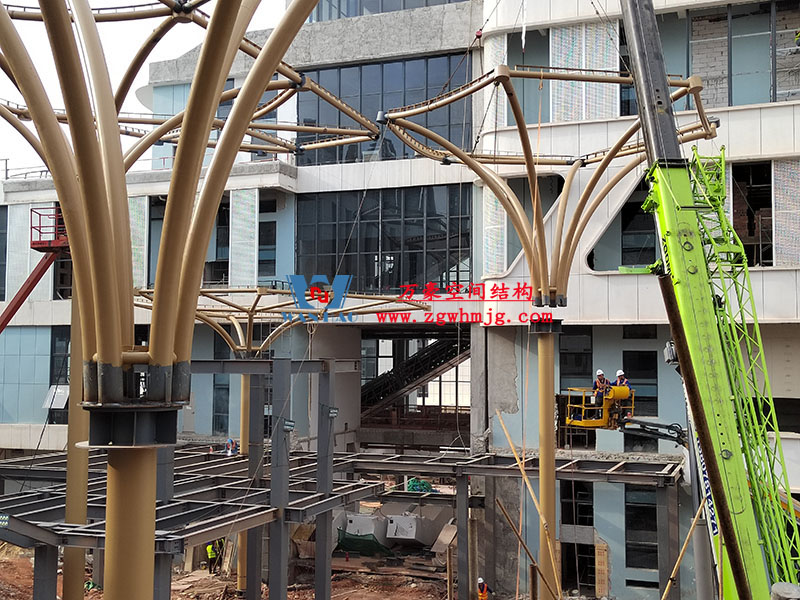 中國東盟特色商品匯聚中心膜鋼構(gòu)工程完工 中國東盟特色商品匯聚中心膜鋼構(gòu)工程完工