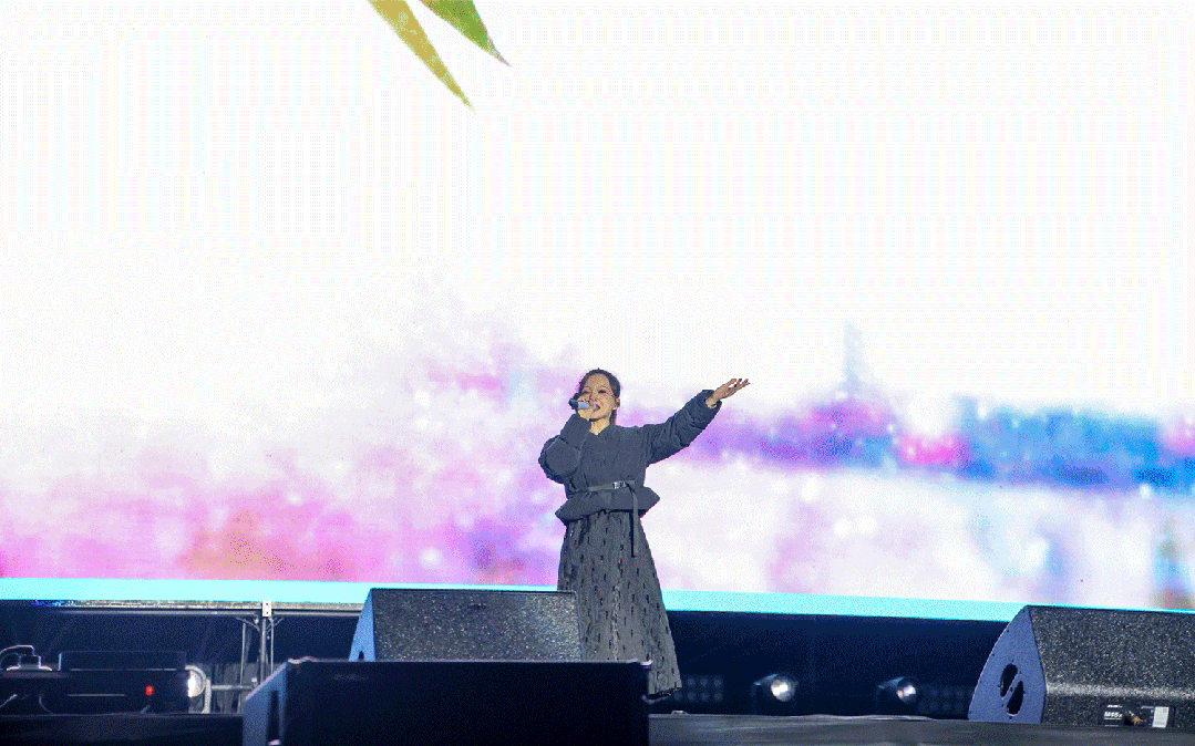 平陽體育中心群星演唱會(huì)！超萬人圍觀，現(xiàn)場火爆High唱！