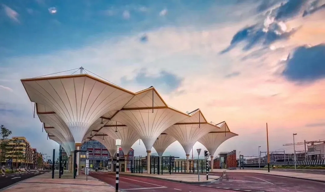 “棚”和“篷”，怎么區(qū)分？