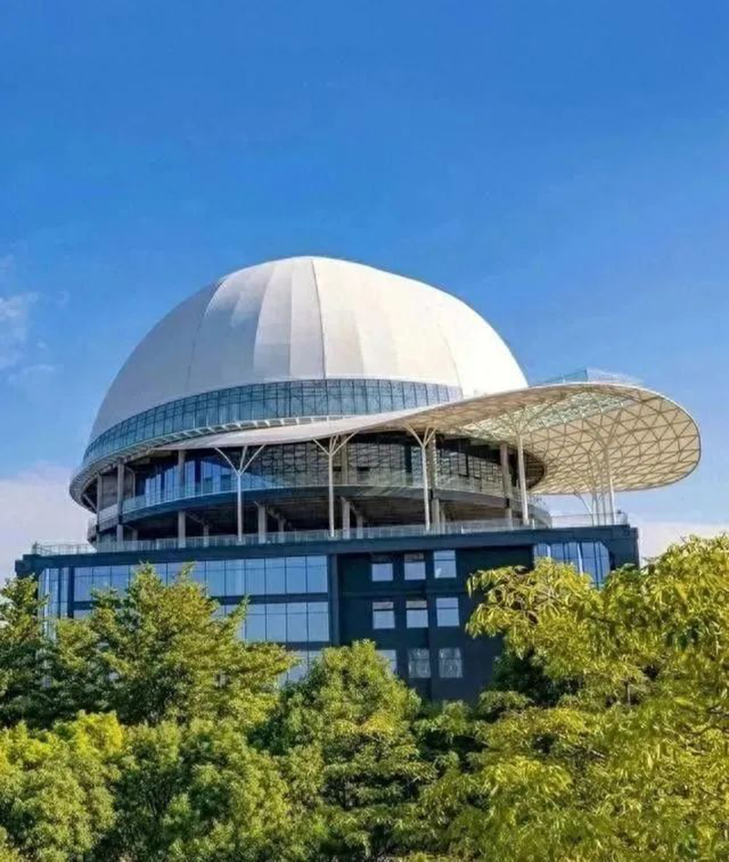 奇葩，好大一頂帽子